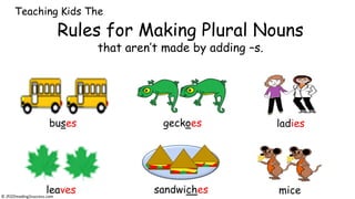 Rules for Making Plural Nouns
that aren’t made by adding –s.
buses geckoes ladies
leaves sandwiches mice
© reading2success.com
Teaching Kids The
 