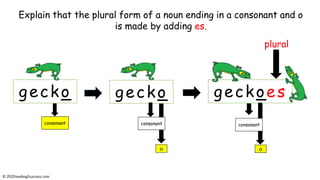 Teaching Kids the Rules for Making Plural Nouns - that aren't made by adding -s   #pluralnouns