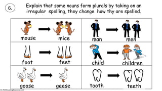 Teaching Kids the Rules for Making Plural Nouns - that aren't made by adding -s   #pluralnouns