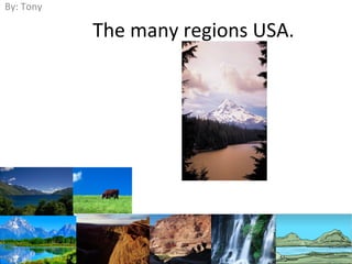 The many regions USA.
By: Tony
 