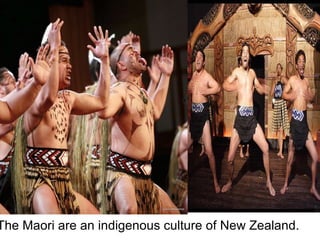 The Maori are an indigenous culture of New Zealand. 