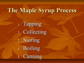 The Maple Syrup ProcessThe Maple Syrup Process
1.1. TappingTapping
2.2. CollectingCollecting
3.3. StoringStoring
4.4. BoilingBoiling
5.5. CanningCanning
 