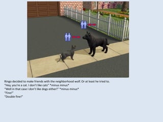 Ringo decided to make friends with the neighborhood wolf. Or at least he tried to.
“Hey, you’re a cat. I don’t like cats” *minus minus*
“Well in that case I don’t like dogs either!” *minus minus*
“Fine!”
“Double fine!”
 