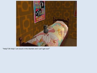 “Help? Oh help! I am stuck in this blanket and I can’t get out!”
 