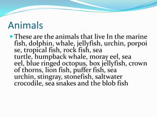 Animals
 These are the animals that live In the marine
 fish, dolphin, whale, jellyfish, urchin, porpoi
 se, tropical fish, rock fish, sea
 turtle, humpback whale, moray eel, sea
 eel, blue ringed octopus, box jellyfish, crown
 of thorns, lion fish, puffer fish, sea
 urchin, stingray, stonefish, saltwater
 crocodile, sea snakes and the blob fish .
 