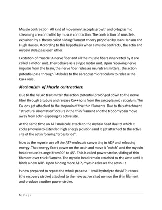 5 | P a g e
Muscle contraction: All kind of movement accepts growth and cytoplasmic
streaming are controlled by muscle contraction. The contraction of muscleis
explained by a theory called sliding filament theory proposed by Jean Hanson and
Hugh Huxley. According to this hypothesis when a muscle contracts, the actin and
myosin slide pass each other.
Excitation of muscle: A nervefiber and all the muscle fibers innervated by it are
called a motor unit. They behave as a single motor unit. Upon receiving nerve
impulse fromthe brain, the nervefiber releases neurotransmitters, the action
potential pass through T-tubules to the sarcoplasmic reticulum to release the
Ca++ ions.
Mechanism of Muscle contraction:
Due to the neuro transmitter the action potential prolonged down to the nerve
fiber through t-tubule and release Ca++ ions from the sarcoplasmic reticulum. The
Ca ions get attached to the troponin of the thin filaments. Due to this attachment
"structuralorientation" occurs in the thin filament and the tropomyosin move
away from actin exposing its active site.
At the same time an ATP molecule attach to the myosin head due to which it
cocks (moveinto extended high energy position) and it get attached to the active
site of the actin forming "cross bride".
Now as the myosin useoff the ATP molecule converting to ADP and releasing
energy. That energy Exert power on the actin and move it "notch" and the myosin
head reduce its angel from90 ° to 45°. This is called power stroke, sliding of thin
filament over thick filament. The myosin head remain attached to the actin until it
binds a new ATP. Upon binding more ATP, myosin releases the actin. It
Is now prepared to repeat the whole process—itwill hydrolyzetheATP, recock
(the recovery stroke) attached to the new active sited own on the thin filament
and produceanother power stroke.
 