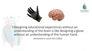 •Designing educational experiences without an
understanding of the brain is like designing a glove
without an understanding of the human hand.
-attributed to Leslie Hart (1983)
1
Tokuhama-Espinosa Feb 2017
 
