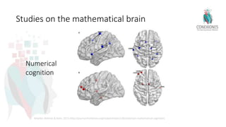 The Mathematical Brain what Teachers Need to Know by Tracey Tokuhama-Espinosa