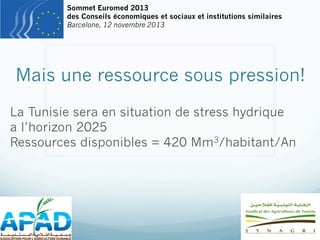 Sommet Euromed 2013
des Conseils économiques et sociaux et institutions similaires
Barcelone, 12 novembre 2013

Mais une ressource sous pression!
La Tunisie sera en situation de stress hydrique
a l’horizon 2025
Ressources disponibles = 420 Mm3/habitant/An

 