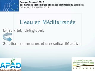 Sommet Euromed 2013
des Conseils économiques et sociaux et institutions similaires
Barcelone, 12 novembre 2013

L’eau en Méditerranée
Enjeu vital, défi global,
Solutions communes et une solidarité active

 