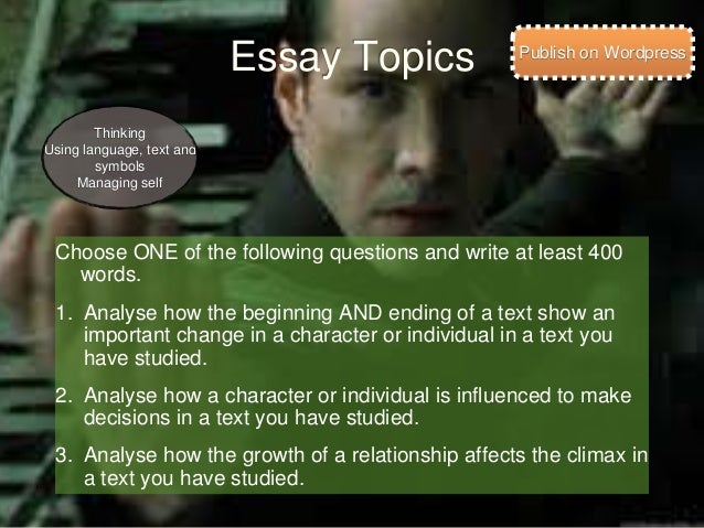 matrix essay