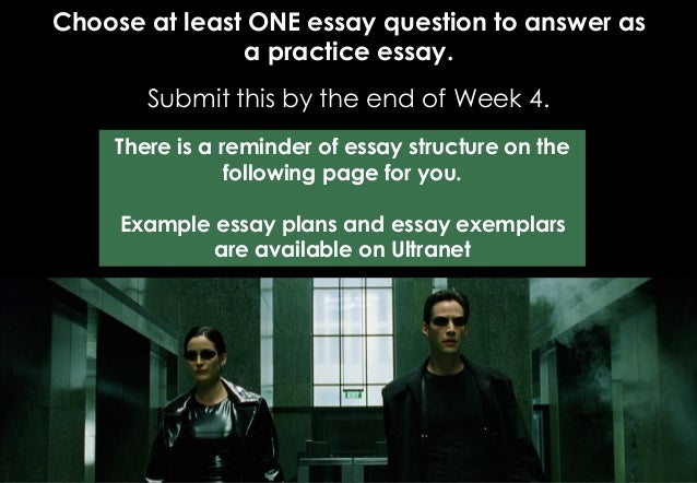 an essay on the film the matrix The matrix essaysthe matrix has found many fans since the release of the movie on march 31, 1999 the matrix is based on a scientific theory that we are being run by. an essay on the film the matrix The matrix essaysthe matrix has found many fans since the release of the movie on march 31, 1999 the matrix is based on a scientific theory that we are being run by.