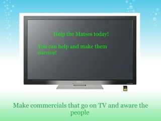 Make commercials that go on TV and aware the people               Help the Matses today!    You can help and make them survive! 