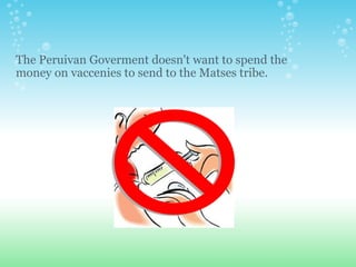  The Peruivan Goverment doesn't want to spend the money on vaccenies to send to the Matses tribe.  