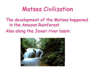 Matses Civilization The development of the Matses happened in the Amazon Rainforest. Also along the Javari river basin. 