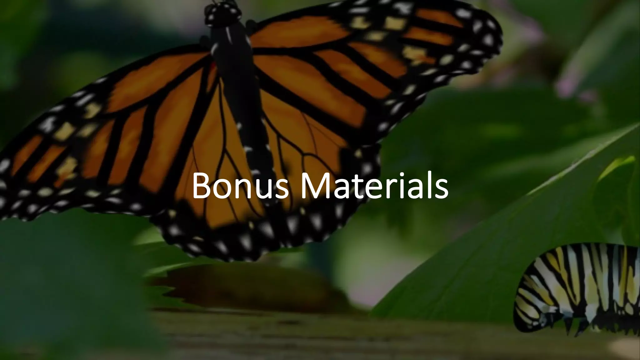 Bonus Materials
 
