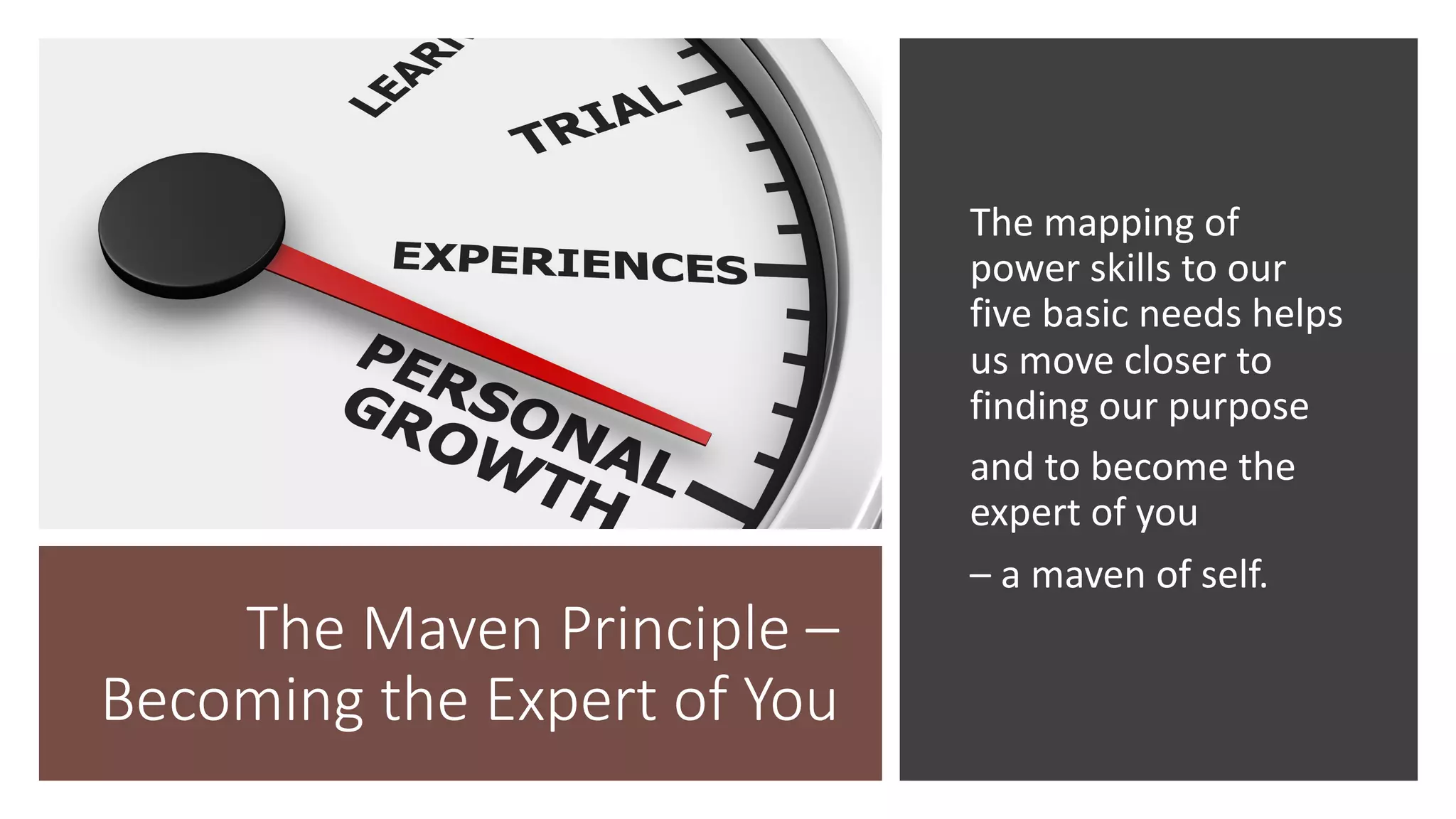 The Maven Principle –
Becoming the Expert of You
The mapping of
power skills to our
five basic needs helps
us move closer to
finding our purpose
and to become the
expert of you
– a maven of self.
 
