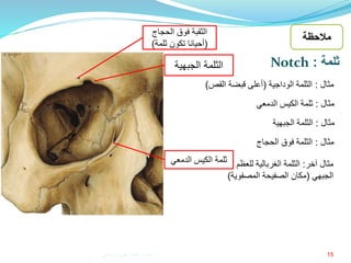 15
‫آخر‬ ‫مثال‬:‫للعظ‬ ‫الغربالية‬ ‫الثلمة‬‫م‬
‫الجبهي‬(‫المصفو‬ ‫الصفيحة‬ ‫مكان‬‫ية‬)
‫مثال‬:‫الوداجية‬ ‫الثلمة‬(‫القص‬ ‫قبضة‬ ‫أعلى‬)
‫مثال‬:‫الدمعي‬ ‫الكيس‬ ‫ثلمة‬
‫مثال‬:‫الحجاج‬ ‫فوق‬ ‫الثلمة‬
‫مثال‬:‫الجبهية‬ ‫الثلمة‬
‫ثلمة‬:Notch
‫ثلمة‬‫الدمعي‬ ‫الكيس‬
‫الثلمة‬‫الجبهية‬
‫الثقبة‬‫الحجاج‬ ‫فوق‬
(‫ثلمة‬ ‫تكون‬ ‫أحيانا‬)
‫مالحظة‬
‫إعداد‬:‫برادعي‬ ‫عمرو‬ ‫أحمد‬
 