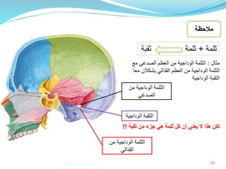 17
‫مثال‬:‫مع‬ ‫الصدغي‬ ‫العظم‬ ‫من‬ ‫الوداجية‬ ‫الثلمة‬
‫م‬ ‫يشكالن‬ ‫القذالي‬ ‫العظم‬ ‫من‬ ‫الوداجية‬ ‫الثلمة‬‫عا‬
‫الوداجية‬ ‫الثقبة‬
‫ثلمة‬+‫ثلمة‬‫ثق‬‫بة‬
‫الثلمة‬‫الوداجية‬‫من‬
‫القذالي‬
‫الثلمة‬‫الوداجية‬‫من‬
‫الصدغي‬
‫الثقبة‬‫الوداج‬‫ية‬
‫كل‬ ‫أن‬ ‫يعني‬ ‫ال‬ ‫هذا‬ ‫لكن‬‫ثلمة‬‫من‬ ‫جزء‬ ‫هي‬‫ثقبة‬!!
‫مالحظة‬
‫إعداد‬:‫برادعي‬ ‫عمرو‬ ‫أحمد‬
 