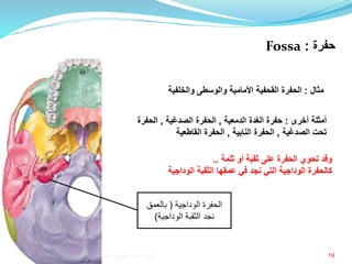 19
‫أخرى‬ ‫أمثلة‬:‫الدمعية‬ ‫الغدة‬ ‫حفرة‬,‫الصدغية‬ ‫الحفرة‬,‫الحفرة‬
‫الصدغية‬ ‫تحت‬,‫النابية‬ ‫الحفرة‬,‫القاطعية‬ ‫الحفرة‬
‫مثال‬:‫والخلفية‬ ‫والوسطى‬ ‫األمامية‬ ‫القحفية‬ ‫الحفرة‬
‫حفرة‬:Fossa
‫على‬ ‫الحفرة‬ ‫تحوي‬ ‫وقد‬‫ثقبة‬‫أو‬‫ثلمة‬..
‫كالحفرة‬‫الوداجية‬‫عمقها‬ ‫في‬ ‫نجد‬ ‫التي‬‫الثقبة‬‫الوداج‬‫ية‬
‫الحفرة‬‫الوداجية‬(‫بالعمق‬
‫نجد‬‫الثقبة‬‫الوداجية‬)
‫إعداد‬:‫برادعي‬ ‫عمرو‬ ‫أحمد‬
 