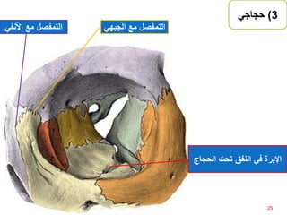 3)‫حجاجي‬
‫الدمعي‬ ‫العرف‬
‫األمامي‬
‫الحج‬ ‫تحت‬ ‫النفق‬ ‫في‬ ‫اإلبرة‬‫اج‬
‫التمفصل‬‫األنف‬ ‫مع‬‫ي‬ ‫التمفصل‬‫مع‬‫الجب‬‫هي‬
25‫إعداد‬:‫برادعي‬ ‫عمرو‬ ‫أحمد‬
 
