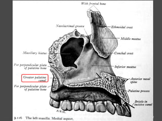 32
By: Ahmad Amro Baradee
‫إعداد‬:‫برادعي‬ ‫عمرو‬ ‫أحمد‬
 