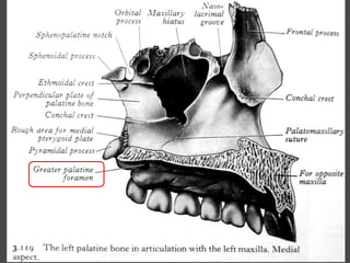 33‫إعداد‬:‫برادعي‬ ‫عمرو‬ ‫أحمد‬
 