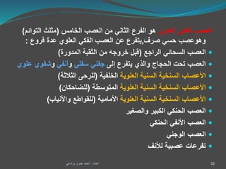 ‫العلوي‬ ‫الفكي‬ ‫العصب‬‫الخامس‬ ‫العصب‬ ‫من‬ ‫الثاني‬ ‫الفرع‬ ‫هو‬(‫التو‬ ‫مثلث‬‫ائم‬)
‫صرف‬ ‫حسي‬ ‫وهوعصب‬,‫فروع‬ ‫عدة‬ ‫العلوي‬ ‫الفكي‬ ‫العصب‬ ‫عن‬ ‫يتفرع‬:
‫الراجع‬ ‫السحائي‬ ‫العصب‬(‫المدورة‬ ‫الثقبة‬ ‫من‬ ‫خروجه‬ ‫قبل‬)
‫إلى‬ ‫يتفرع‬ ‫والذي‬ ‫الحجاج‬ ‫تحت‬ ‫العصب‬‫سفلي‬ ‫جفني‬‫و‬‫أنفي‬‫و‬‫شفو‬‫علوي‬ ‫ي‬
‫األعصاب‬‫السنخية‬‫العلوية‬ ‫السنية‬‫الخلفية‬(‫الثالثة‬ ‫للرحى‬)
‫األعصاب‬‫السنخية‬‫العلوية‬ ‫السنية‬‫المتوسطة‬(‫للضاحكان‬)
‫األعصاب‬‫السنخية‬‫العلوية‬ ‫السنية‬‫األمامية‬(‫واألنياب‬ ‫للقواطع‬)
‫والصغير‬ ‫الكبير‬ ‫الحنكي‬ ‫العصب‬
‫الحنكي‬ ‫األنفي‬ ‫العصب‬
‫العصب‬‫الوجني‬
‫لألنف‬ ‫عصبية‬ ‫تفرعات‬
52‫إعداد‬:‫برادعي‬ ‫عمرو‬ ‫أحمد‬
 