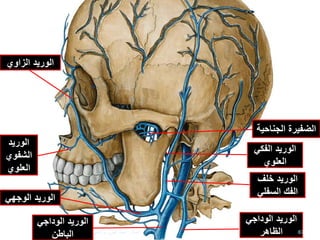 ‫الفكي‬ ‫الوريد‬
‫العلوي‬
‫الوريد‬‫الوداجي‬
‫الظاهر‬
‫الوريد‬‫الوداجي‬
‫الباطن‬
‫الجناح‬ ‫الضفيرة‬‫ية‬
‫الوريد‬‫الوجهي‬
‫الوريد‬
‫الشفوي‬
‫العلوي‬
‫الزاوي‬ ‫الوريد‬
‫خلف‬ ‫الوريد‬
‫السفلي‬ ‫الفك‬
67‫إعداد‬:‫برادعي‬ ‫عمرو‬ ‫أحمد‬
 