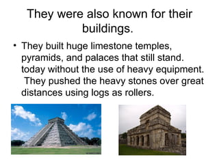 They were also known for their
            buildings.
• They built huge limestone temples,
  pyramids, and palaces that still stand.
  today without the use of heavy equipment.
   They pushed the heavy stones over great
  distances using logs as rollers.
 