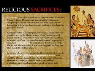 Sacrifices, both animal and human, were central to the ancient
Mayan religion. This does not mean that the religion was
completely sacrificial in nature, but sacrifices seem to have
been made in large numbers, in order to please the gods and to
get a good harvest.
Sacrifices, in the Mayan religion, were special rituals that were
presided over by the Mayan priests. While the instances of
animal sacrifices seem to have been more common than those
of human sacrifices, there are clear evidences of the practice of
ritualistic blood-letting by the humans. Blood meant life to
the ancient Mayans and so, it was the most precious thing that
they could offer to their gods.
Generally, whenever the humans had to be sacrificed, it was the
prisoners of war, children or devoted volunteers, who
would be chosen. A recent study by the University of Yucatán
shows that, contrary to popular belief, the sacrificed
individuals were mostly young boys, and not virgin girls.

 