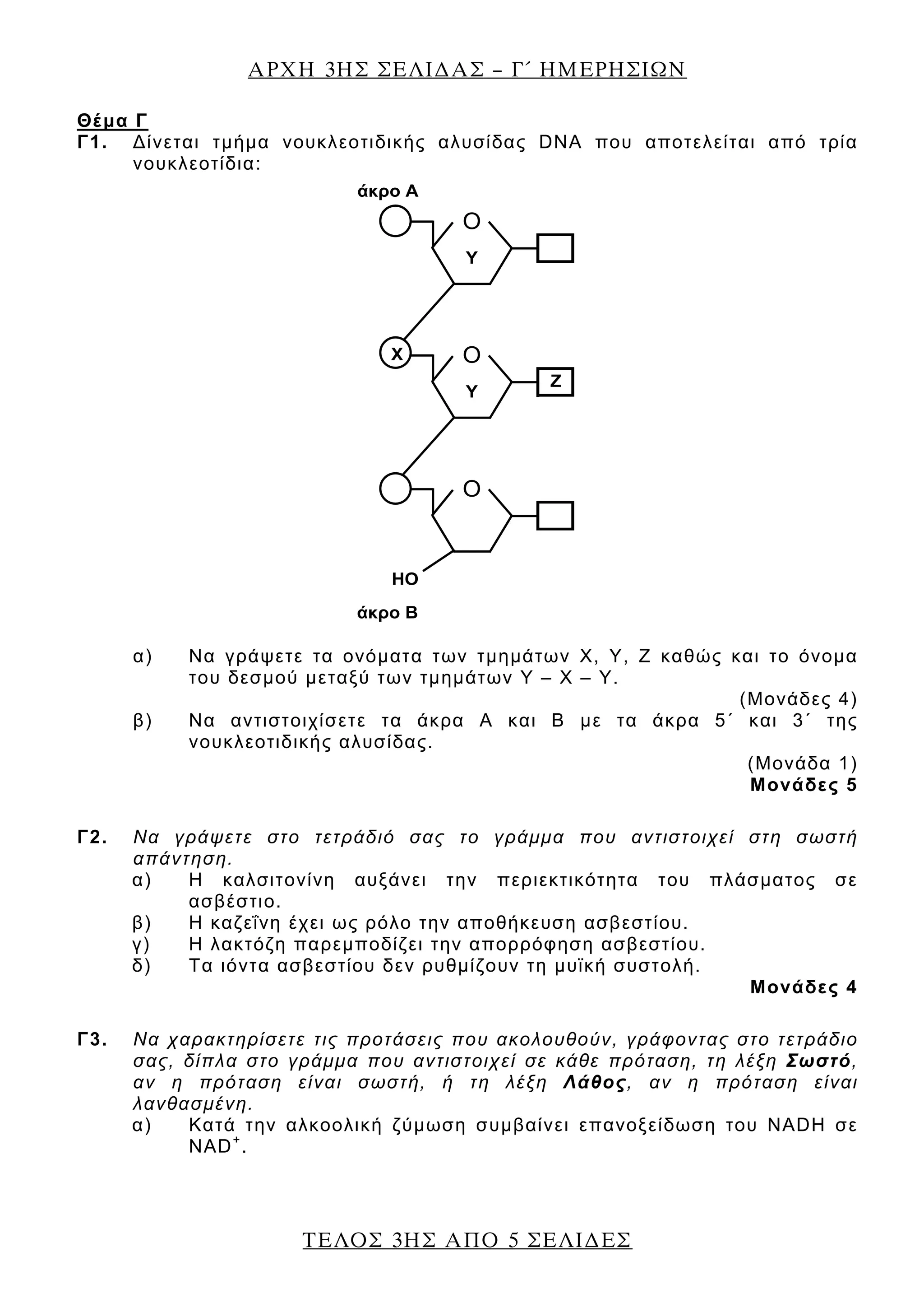 ΑΡΧΗ 3ΗΣ ΣΕΛΙ∆ΑΣ – Γ΄ ΗΜΕΡΗΣΙΩΝ
ΤΕΛΟΣ 3ΗΣ ΑΠΟ 5 ΣΕΛΙ∆ΕΣ
Θέμα Γ
Γ1. Δίνεται τμήμα νουκλεοτιδικής αλυσίδας DNA που αποτελείται από τρία
νουκλεοτίδια:
Ο
Ο
Υ
Χ
Ζ
Ο
Υ
άκρο Α
άκρο Β
ΗO
α) Να γράψετε τα ονόματα των τμημάτων Χ, Υ, Ζ καθώς και το όνομα
του δεσμού μεταξύ των τμημάτων Υ – Χ – Υ.
(Μονάδες 4)
β) Να αντιστοιχίσετε τα άκρα Α και Β με τα άκρα 5΄ και 3΄ της
νουκλεοτιδικής αλυσίδας.
(Μονάδα 1)
Μονάδες 5
Γ2. Να γράψετε στο τετράδιό σας το γράμμα που αντιστοιχεί στη σωστή
απάντηση.
α) Η καλσιτονίνη αυξάνει την περιεκτικότητα του πλάσματος σε
ασβέστιο.
β) Η καζεΐνη έχει ως ρόλο την αποθήκευση ασβεστίου.
γ) Η λακτόζη παρεμποδίζει την απορρόφηση ασβεστίου.
δ) Τα ιόντα ασβεστίου δεν ρυθμίζουν τη μυϊκή συστολή.
Μονάδες 4
Γ3. Να χαρακτηρίσετε τις προτάσεις που ακολουθούν, γράφοντας στο τετράδιο
σας, δίπλα στο γράμμα που αντιστοιχεί σε κάθε πρόταση, τη λέξη Σωστό,
αν η πρόταση είναι σωστή, ή τη λέξη Λάθος, αν η πρόταση είναι
λανθασμένη.
α) Κατά την αλκοολική ζύμωση συμβαίνει επανοξείδωση του NADH σε
NAD+
.
 