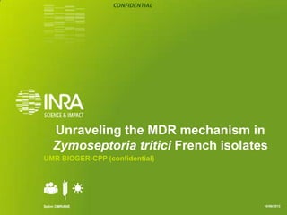 CONFIDENTIAL
Unraveling the MDR mechanism in
Zymoseptoria tritici French isolates
UMR BIOGER-CPP (confidential)
Selim OMRANE 10/06/2013
 