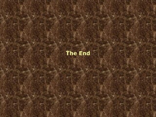 The End 