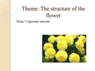 Theme: The structure of the
flower
Тема: Строение цветка
 