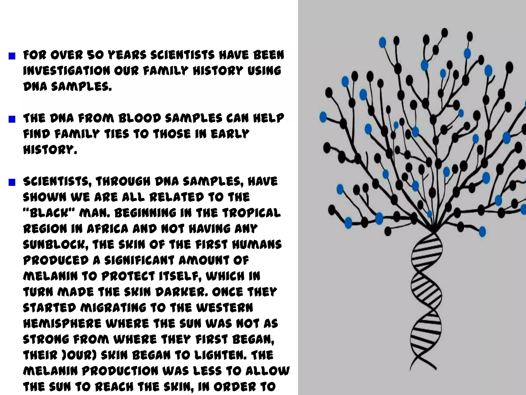 For over 50 years scientists have been investigation our family history using DNA samples.The DNA from blood samples can help find family ties to those in early history.Scientists, through DNA samples, have shown we are all related to the “black” man. Beginning in the tropical region in Africa and not having any sunblock, the skin of the first humans produced a significant amount of melanin to protect itself, which in turn made the skin darker. Once they started migrating to the western hemisphere where the sun was not as strong from where they first began, their )our) skin began to lighten. The melanin production was less to allow the sun to reach the skin, in order to produce vitamin D. 