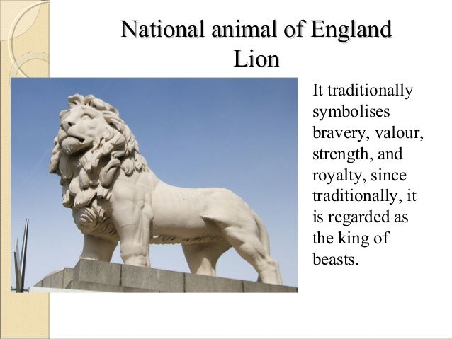 strength symbol animal for of lion national england symbolises animal traditionally bravery it strength symbol animal for of lion national england symbolises animal traditionally bravery it