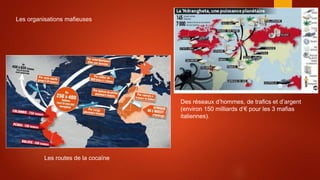 Les organisations mafieuses
Les routes de la cocaïne
Des réseaux d’hommes, de trafics et d’argent
(environ 150 milliards d’€ pour les 3 mafias
italiennes).
 