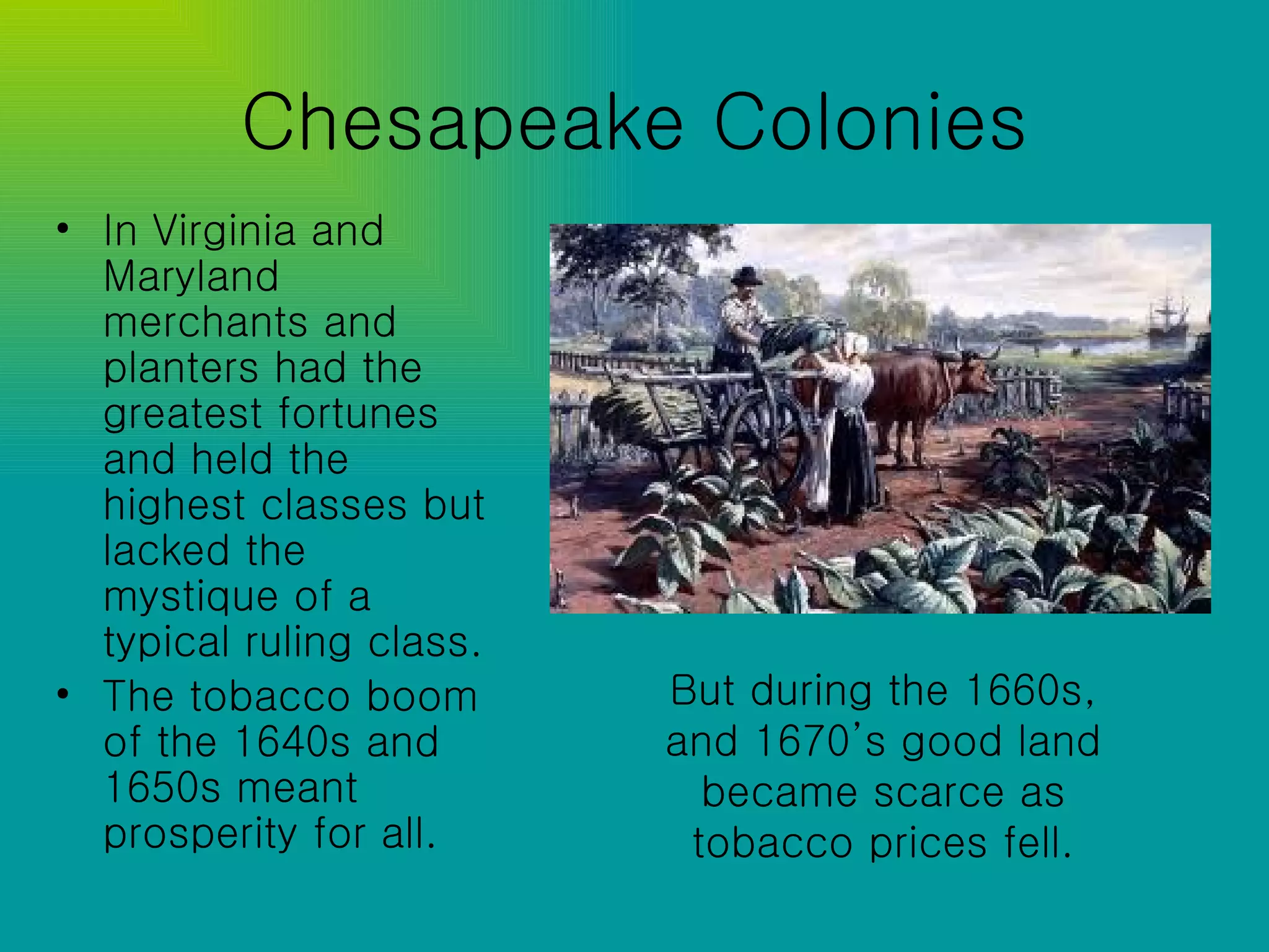 Chesapeake Colonies In Virginia and Maryland merchants and planters had the greatest fortunes and held the highest classes but lacked the mystique of a typical ruling class.  The tobacco boom of the 1640s and 1650s meant prosperity for all.   But during the 1660s, and 1670’s good land became scarce as tobacco prices fell. 