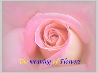 The  meaning  of  Flowers 