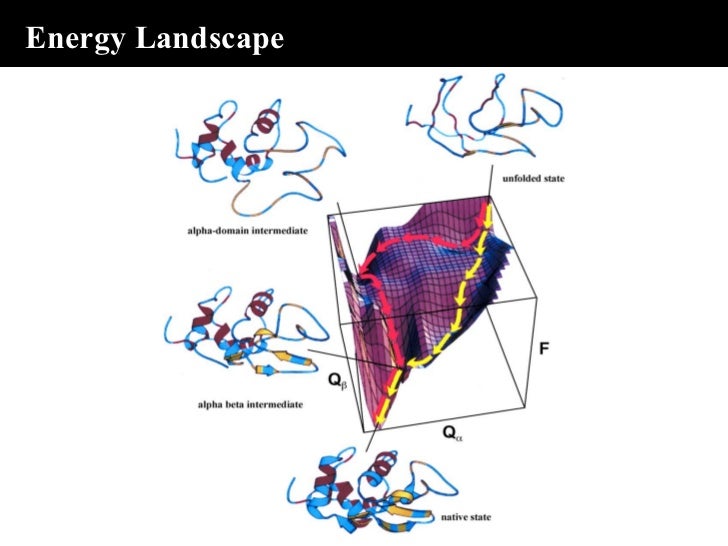 The mechanism of protein folding