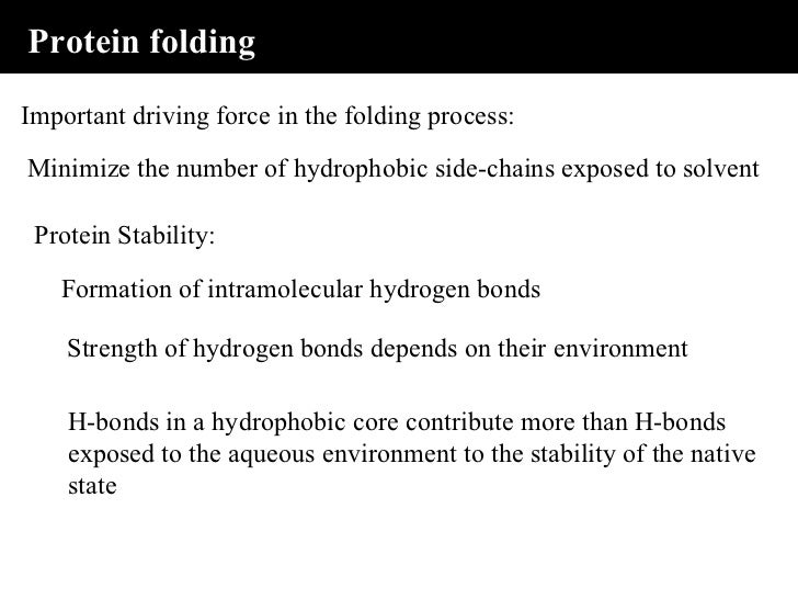 The mechanism of protein folding