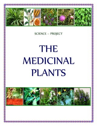 SCIENCE – PROJECT
THE
MEDICINAL
PLANTS
 