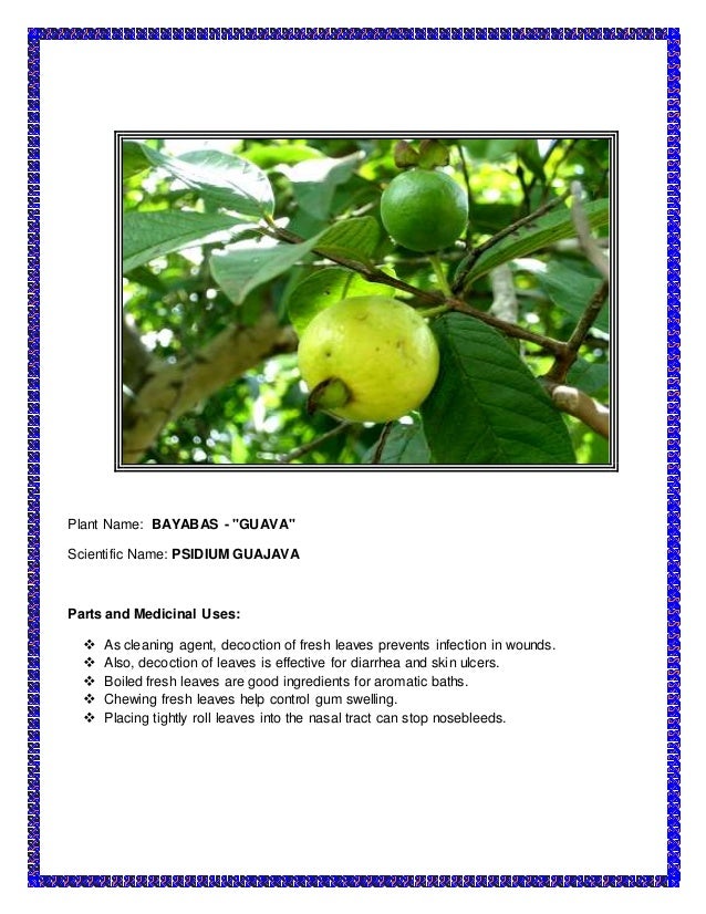 The medicinal plants The medicinal plants