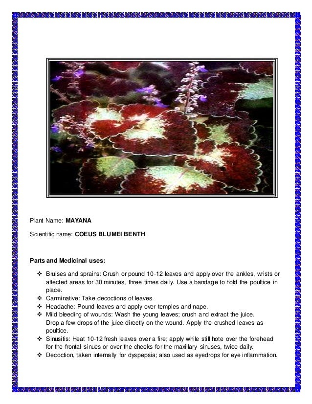 The medicinal plants The medicinal plants on {keyword}