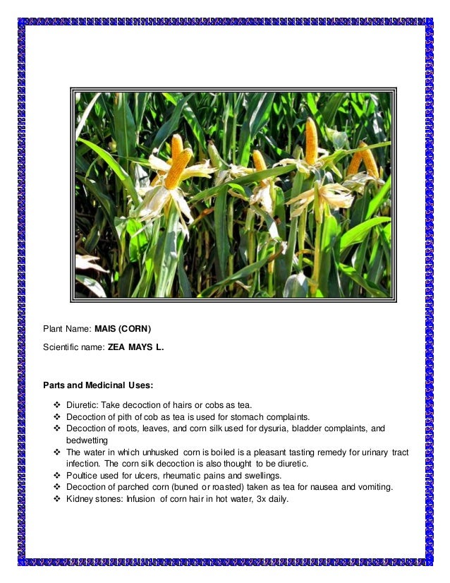 The medicinal plants