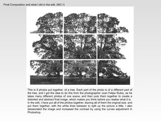 Final Composition and what I did in the edit. (NO.1) This is 9 photos put together, of a tree. Each part of the photo is of a different part of the tree, and I got the idea to do this from the photographer Juan Felipe Rubio, as he takes many different photos of one scene, and then puts them together to create a distorted and abstract final image, which makes you think before you realise what it is.  In the edit, I have put all of the photos together, leaving all of them the original size, and put them together, with the white lines between to split up the picture a little. I also desaturated the image and increased the contrast by using the curves adjustment in Photoshop. 