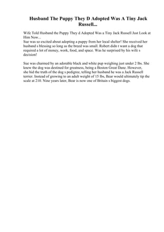 Husband The Puppy They D Adopted Was A Tiny Jack
Russell...
Wife Told Husband the Puppy They d Adopted Was a Tiny Jack Russell Just Look at
Him Now...
Sue was so excited about adopting a puppy from her local shelter! She received her
husband s blessing so long as the breed was small. Robert didn t want a dog that
required a lot of money, work, food, and space. Was he surprised by his wife s
decision!
Sue was charmed by an adorable black and white pup weighing just under 2 lbs. She
knew the dog was destined for greatness, being a Boston Great Dane. However,
she hid the truth of the dog s pedigree, telling her husband he was a Jack Russell
terrier. Instead of growing to an adult weight of 15 lbs, Bear would ultimately tip the
scale at 210. Nine years later, Bear is now one of Britain s biggest dogs.
 