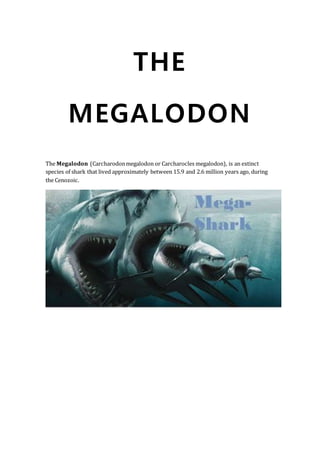 THE
MEGALODON
The Megalodon (Carcharodonmegalodon or Carcharocles megalodon), is an extinct
species of shark that lived approximately between 15.9 and 2.6 million years ago, during
the Cenozoic.