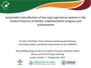 Christian Thierfelder, Peter Setimela and Munyaradzi Mutenje
International Maize and Wheat Improvement Center (CIMMYT)
Africa RISING going to scale in the Eastern Province of Zambia Project
Review and End-of-Project Meeting
Lusaka, Zambia, 7 – 8 September 2017
Sustainable intensification of low-input agriculture systems in the
Eastern Province of Zambia: implementation progress and
achievements
 